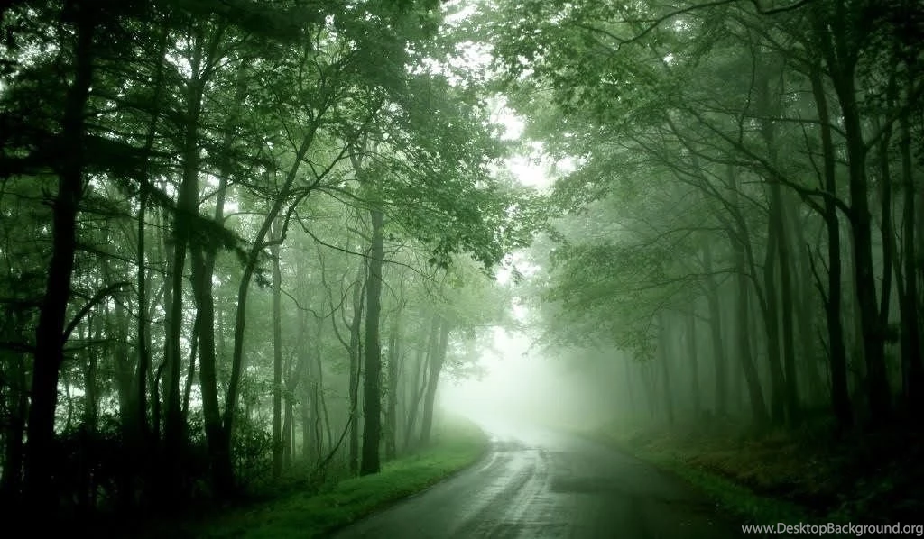 Greenery Wallpapers Hd Images [Archive]   Love Limes