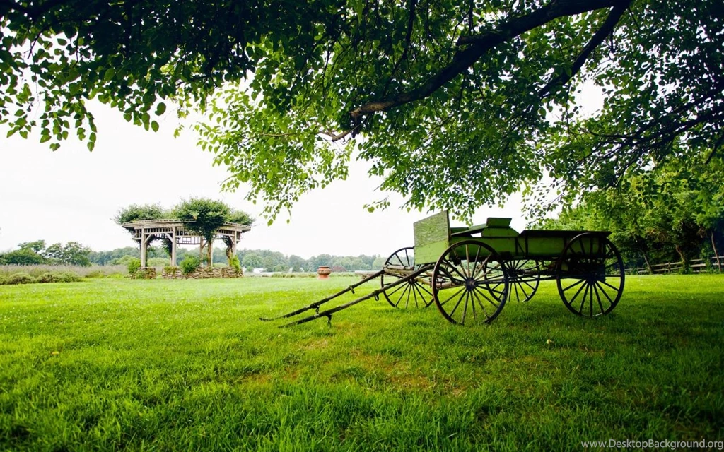 Greenery (