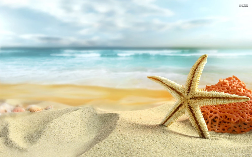 Starfish and coral 22820 2560x1600.jpg