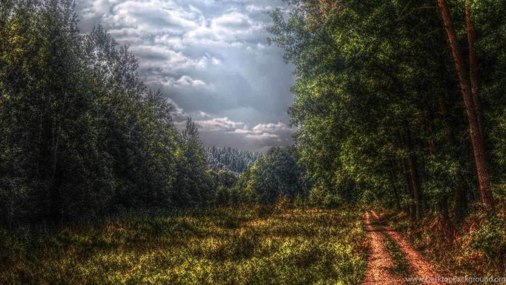 Download Nature Digital Painting Wallpapers Free