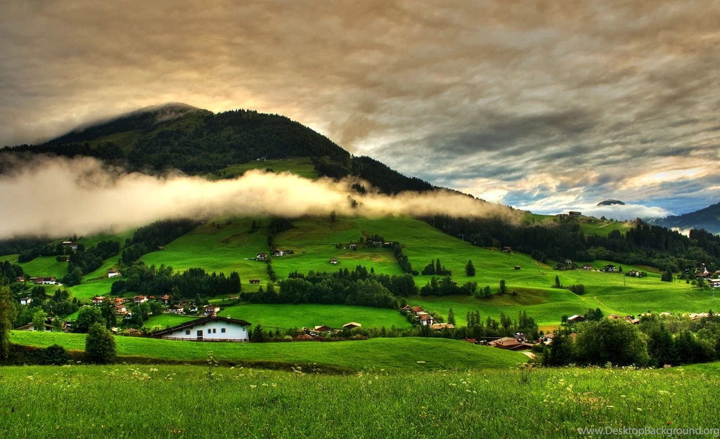 Greenery Wallpapers