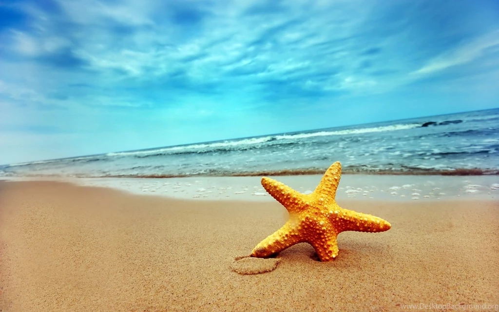 Starfish On Beach Android Wallpapers