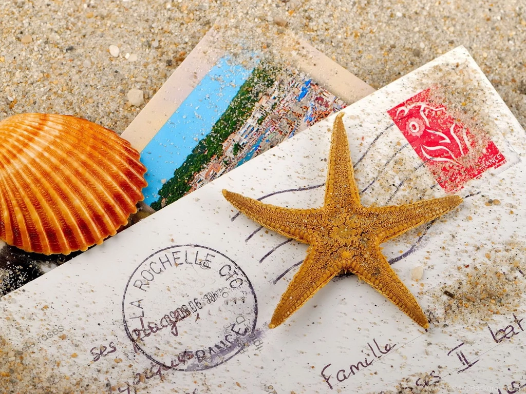 Letter, Cockleshell, Starfish Wallpapers And Images Wallpapers ...
