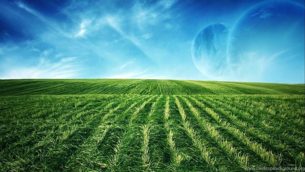 3388BB Color Wallpapers: Color Flag High Quality Wallpaper. Spring ...