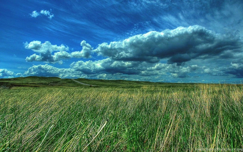 Fields: Country Dreams Clouds Field Phone Wallpapers For High ...