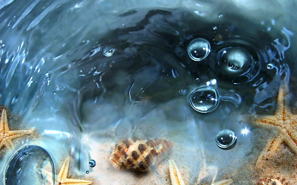 Download Wallpapers 3840x2400 Water, Transparent, Cockleshells ...
