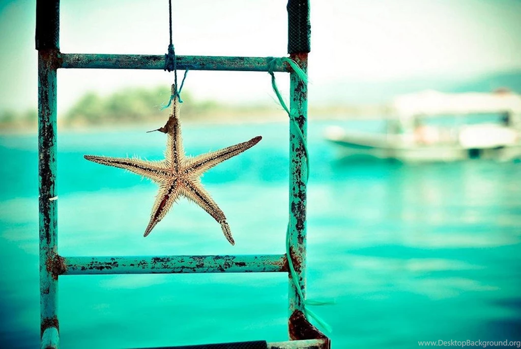 Starfish (