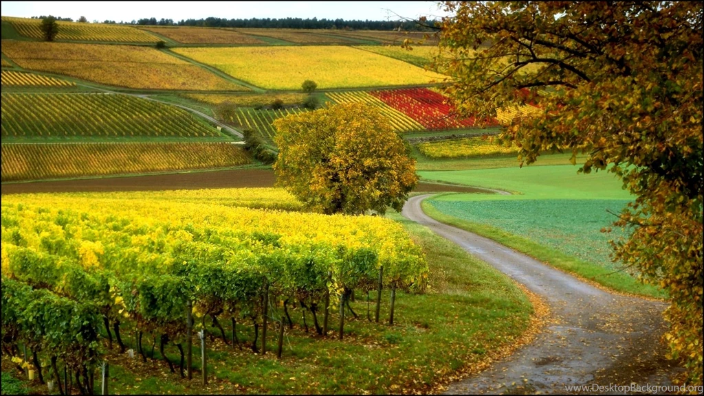 Nature Wallpapers For Computer 4 Items