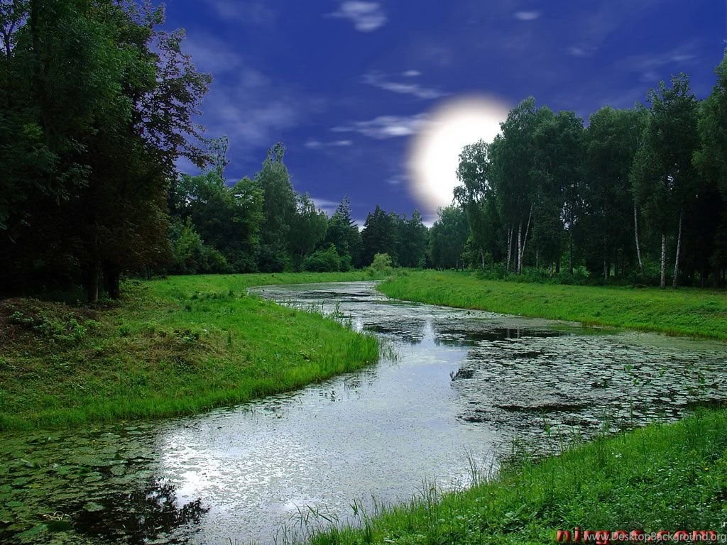 Free Download Computer Wallpapers Desktop Backgrounds Widescreen ...