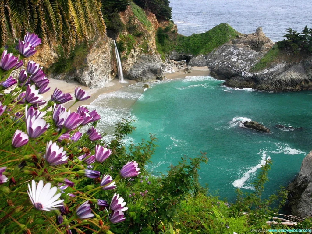 Free Wallpaper Backgrounds ★ For Computer Desktops And Cell ...
