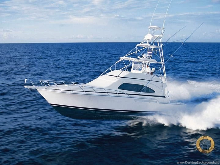 Bertram Yacht Wallpapers Bertram Yacht