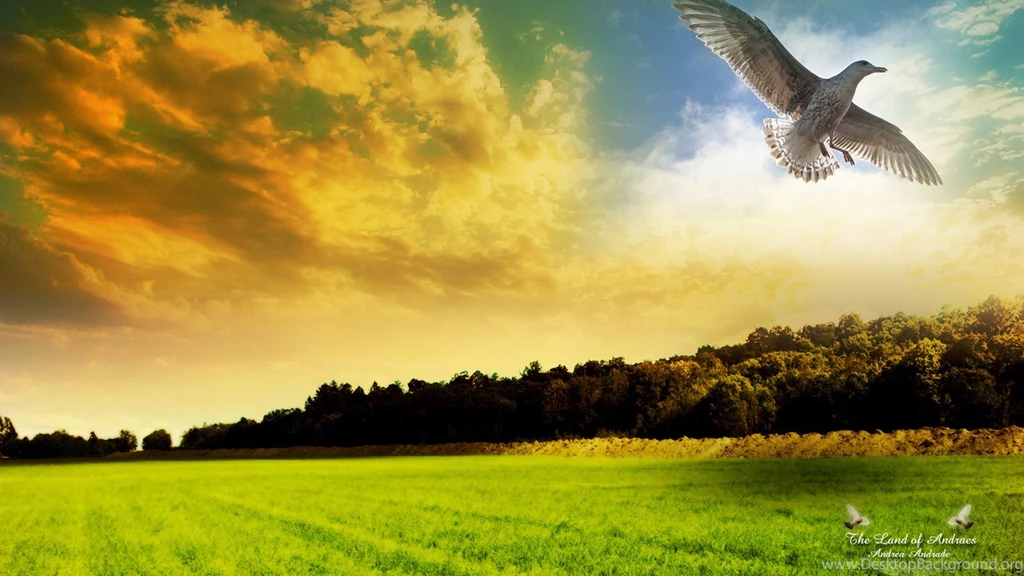 Download Fantasy Wonderful Wallpapers 1920x1080
