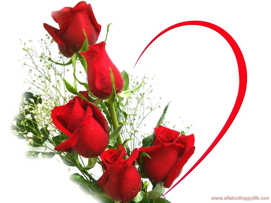 Red Rose Love Wallpapers   Wallpapers Cave