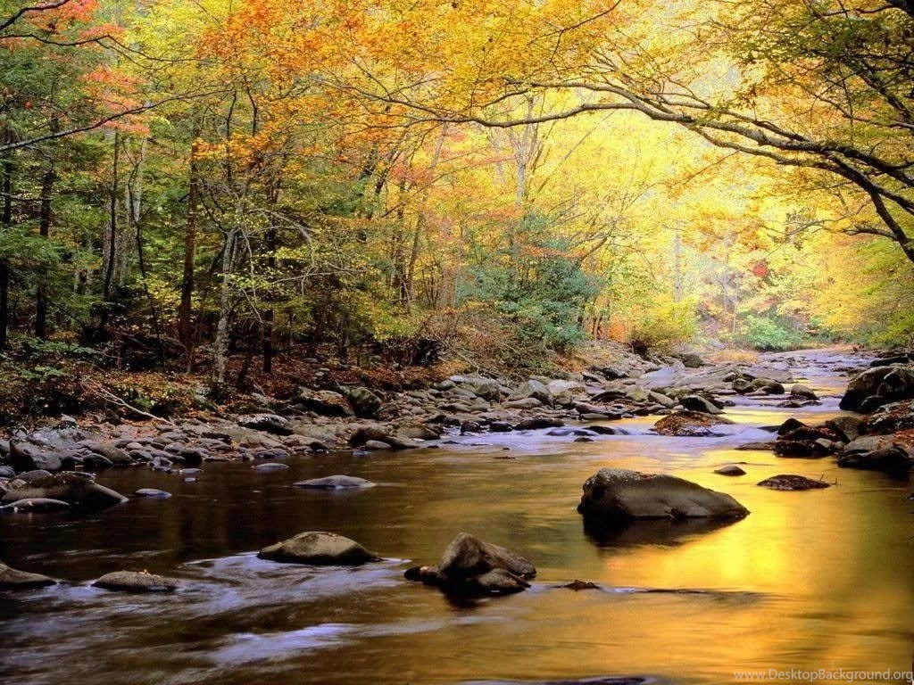 Scenery Wallpapers