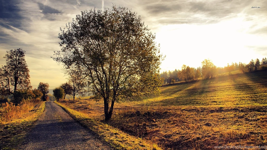 Autumn Scenery Wallpapers   Nature Wallpapers