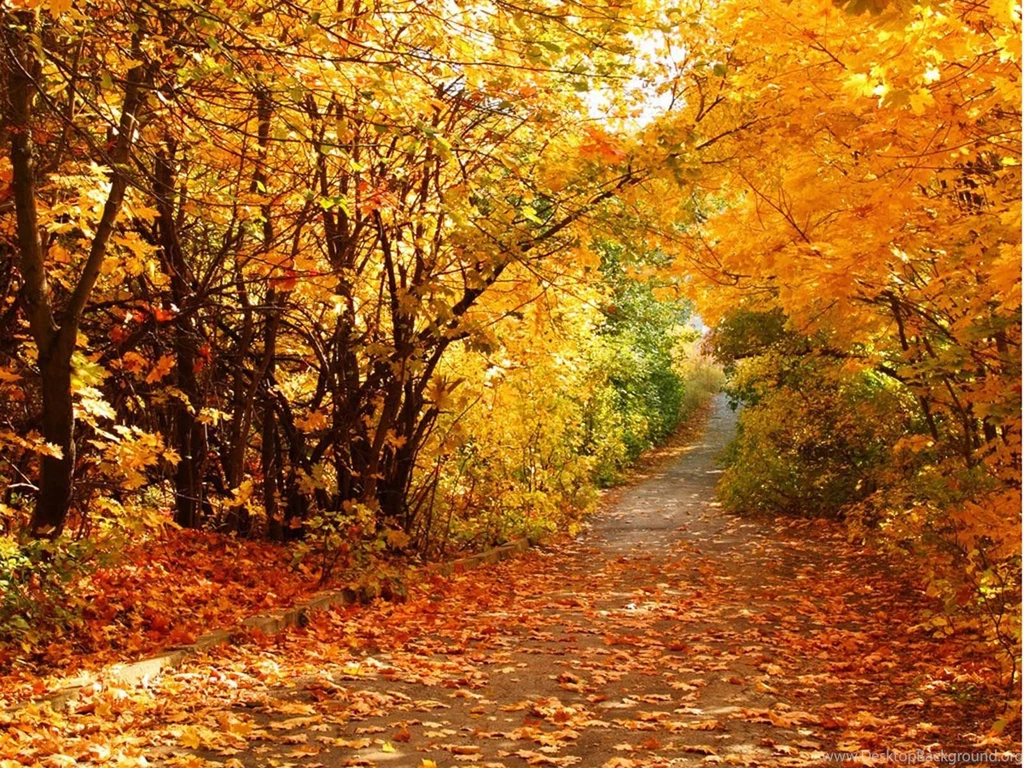 Super Autumn Scenery Wallpapers   Wallpapers Animal Hd