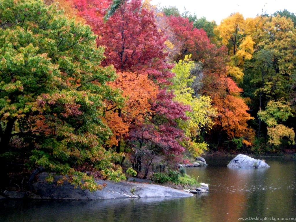 Nature Landscapes Scenery Backgrounds And Codes For Any Blog, Web ...