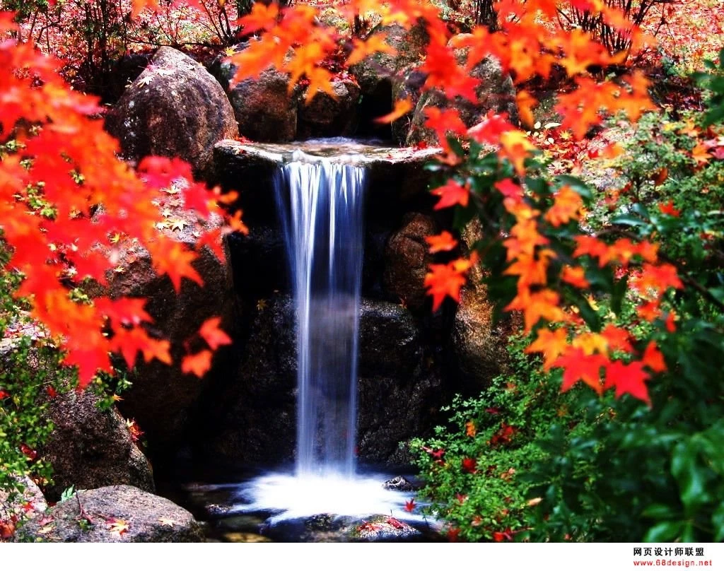 Autumn Theme 9530   Autumn Theme   Landscape Scenery