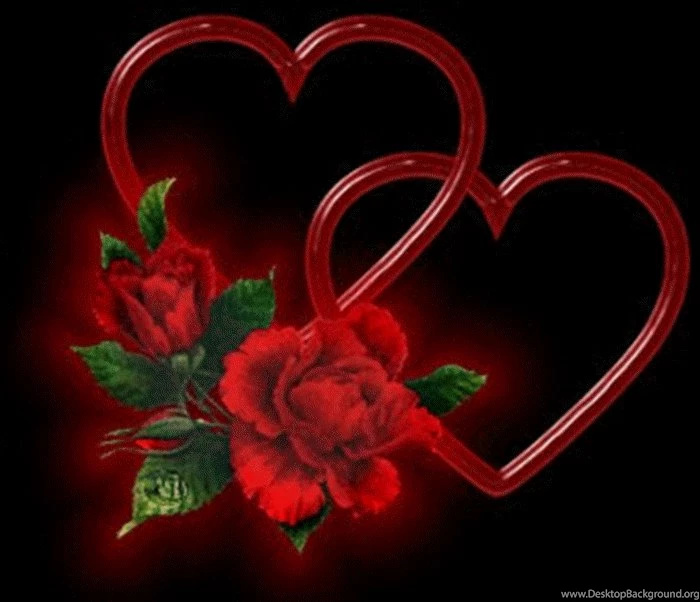 Red Rose Lovehttp://my143rose.blogspot.com/