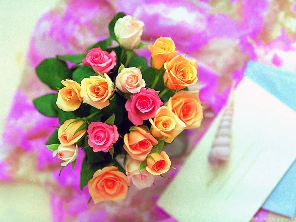The Rose Of Love Roses Wallpapers (13967016) Fanpop