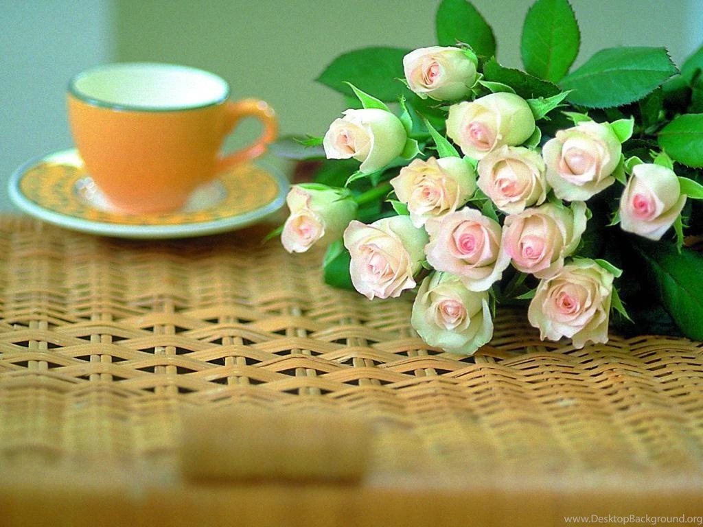 The Rose Of Love Roses Wallpapers (13966630) Fanpop