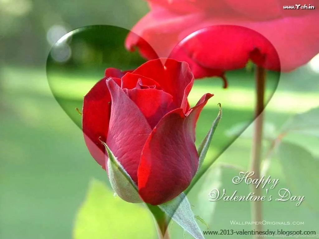 Happy Rose Love 21
