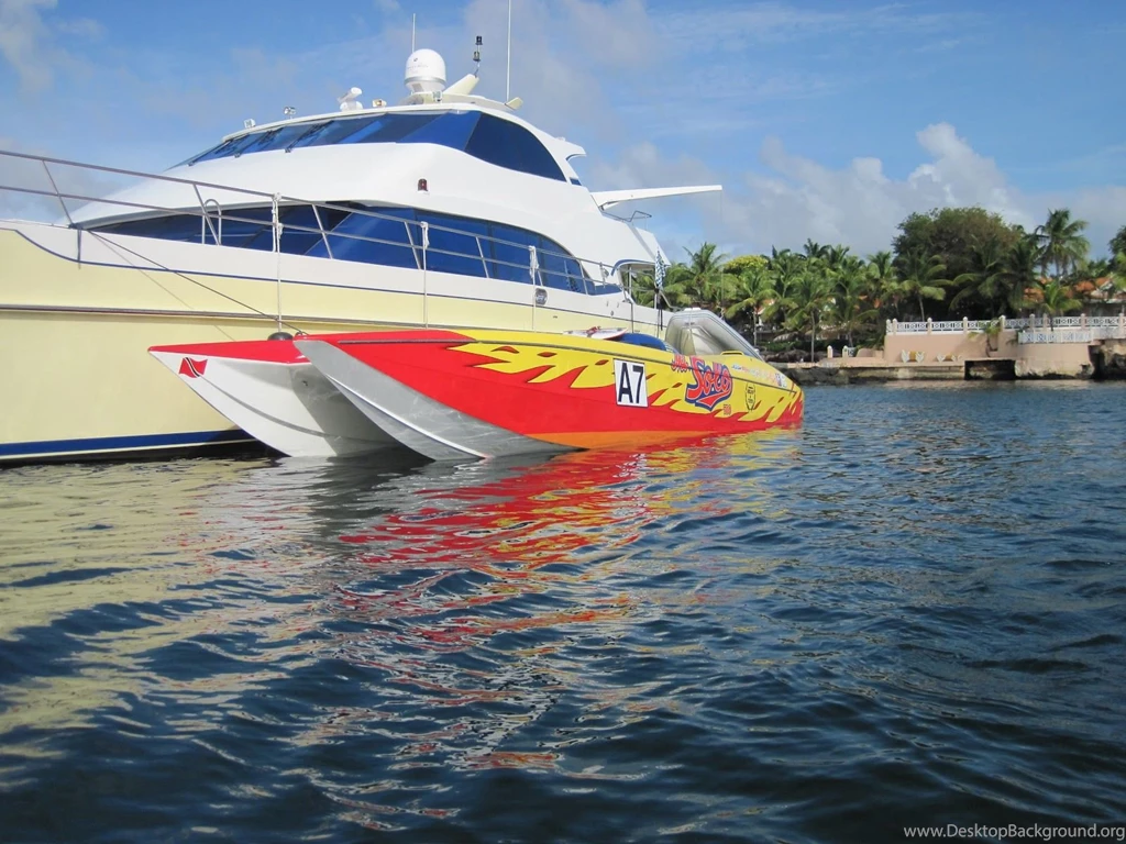 Sheer Tenacity: Power Boat Paw Paws Of Trini