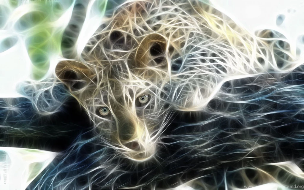 Gallery For Digital Art Photography Wallpapers