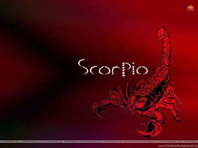 Scorpio Horoscope Wallpapers HD Pictures