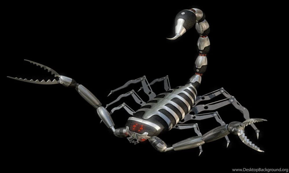 Scorpio Wallpapers Wallpapers Cave