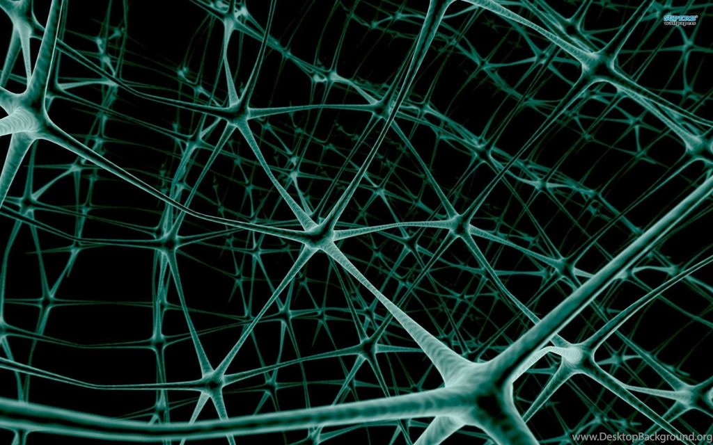 Web Wallpapers   Abstract Wallpapers