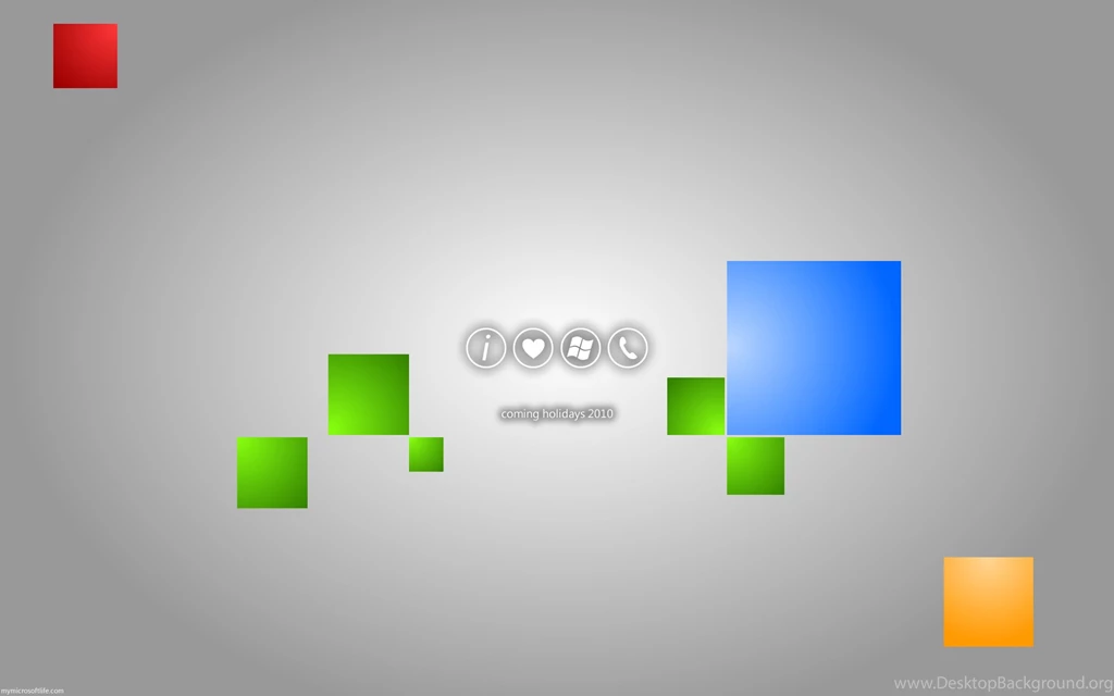 Orange, Flower, Macro, Photography (