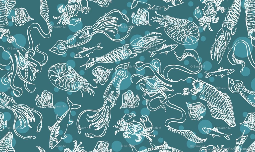 Squid Wallpapers Wallpapers Cave