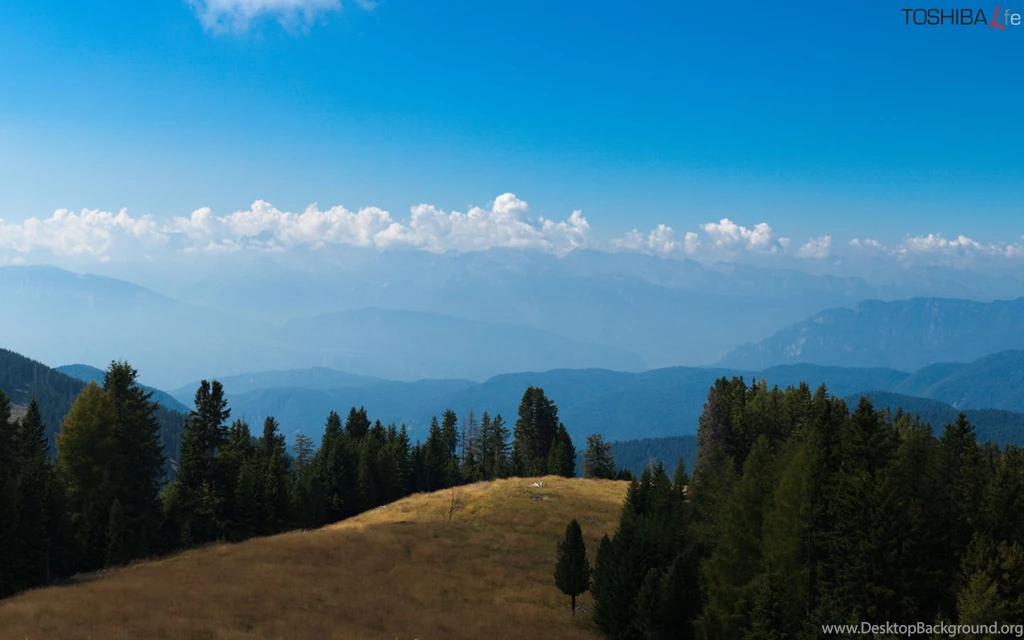 Wallpapers website background web singlescreen backgrounds images ...