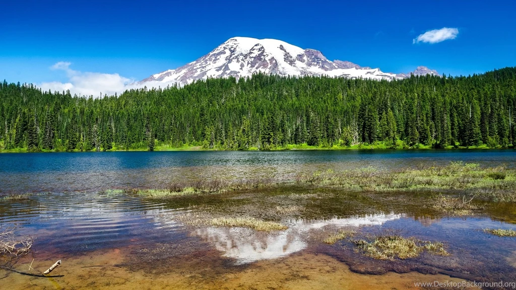 Lake in mount rainier national park hd wallpaper.jpg