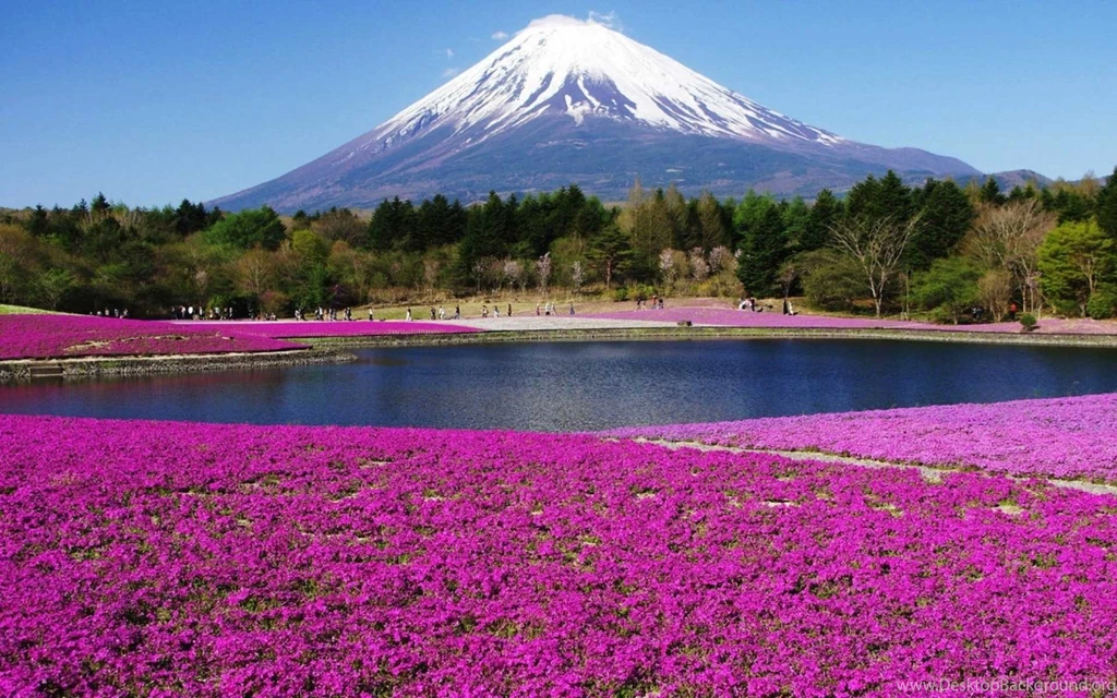 Fuji Mountain Wallpapers Top 20 Mount Fuji HD Wallpapers