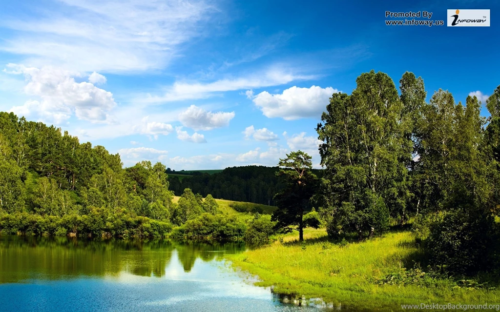 Beautiful Summer Scenery Photo 388 Of 413