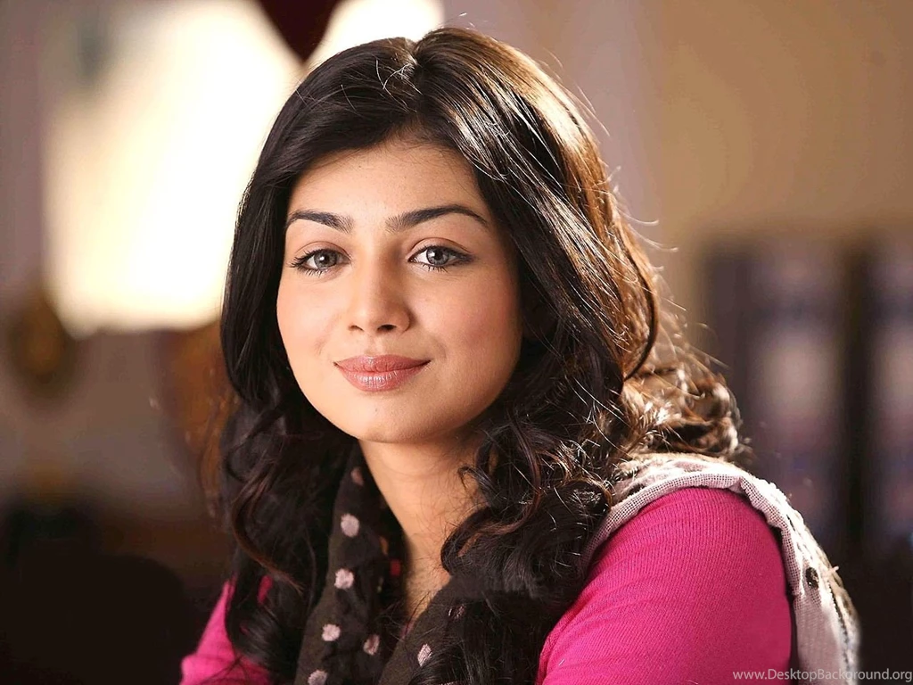 Cute Ayesha Takia HD Wallpapers : Indian Celebrities