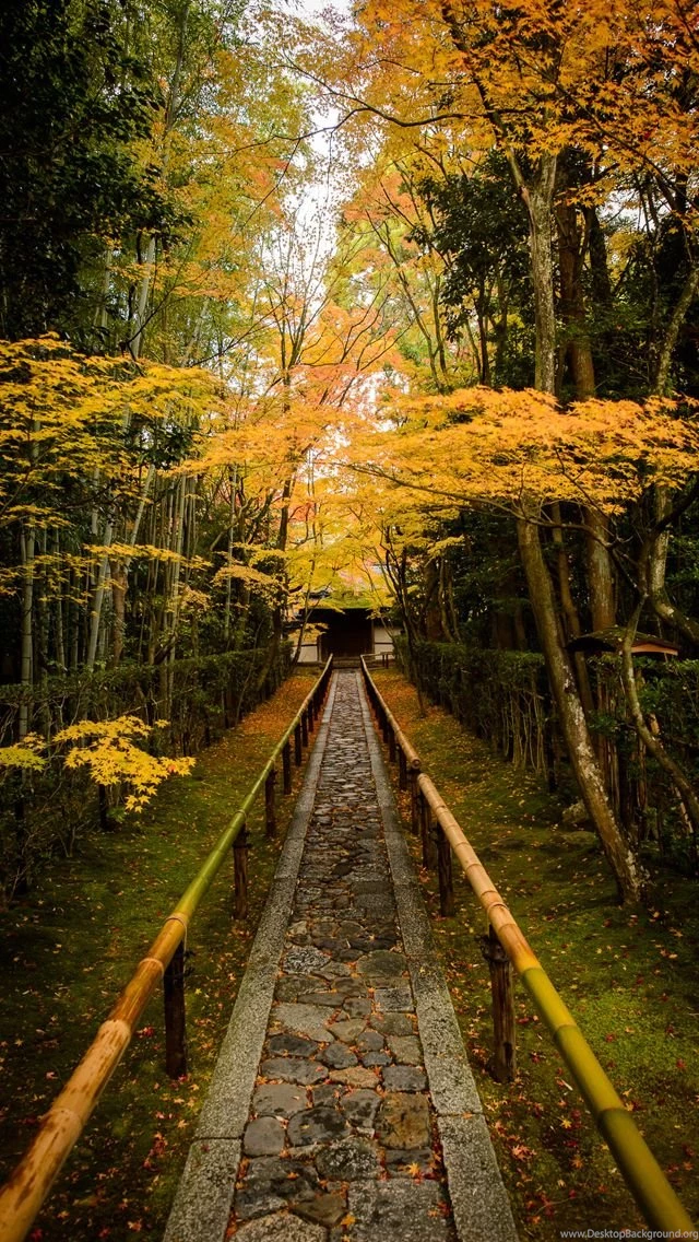 Beautiful Scenic Path iPhone 5 Wallpapers (640x1136)