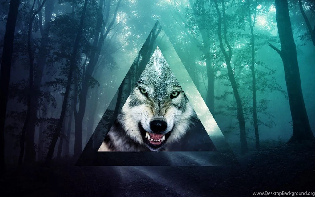 Tumblr HD Wallpapers HD Images New