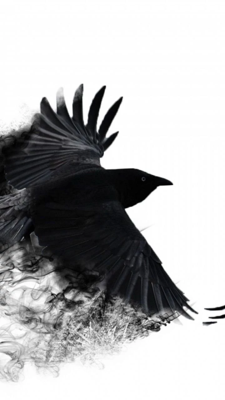Samsung Galaxy S3 Crow Wallpapers HD, Desktop Backgrounds 720x1280