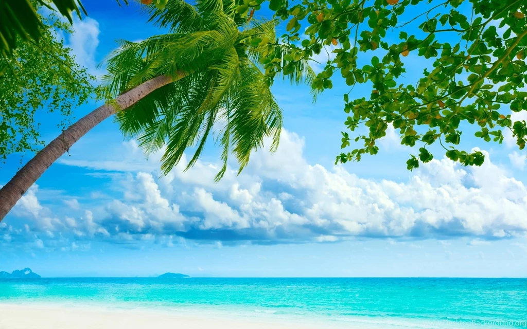 Best Image Wallpapers HGR003 – Wallpaperjosh