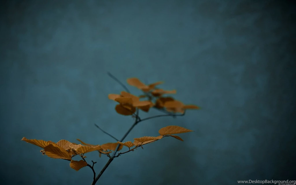 Zen 1920 More Orange And Teal But Close