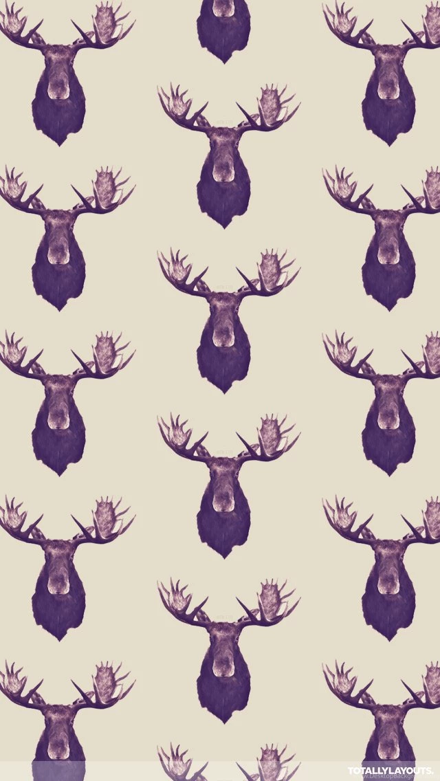 Mr_moose.png