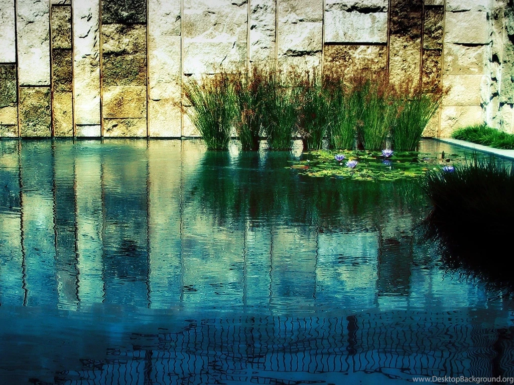 ZEN Mood Bokeh Garden Buddhism Religion Wallpapers