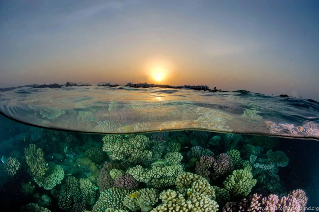 Sunset Reef (