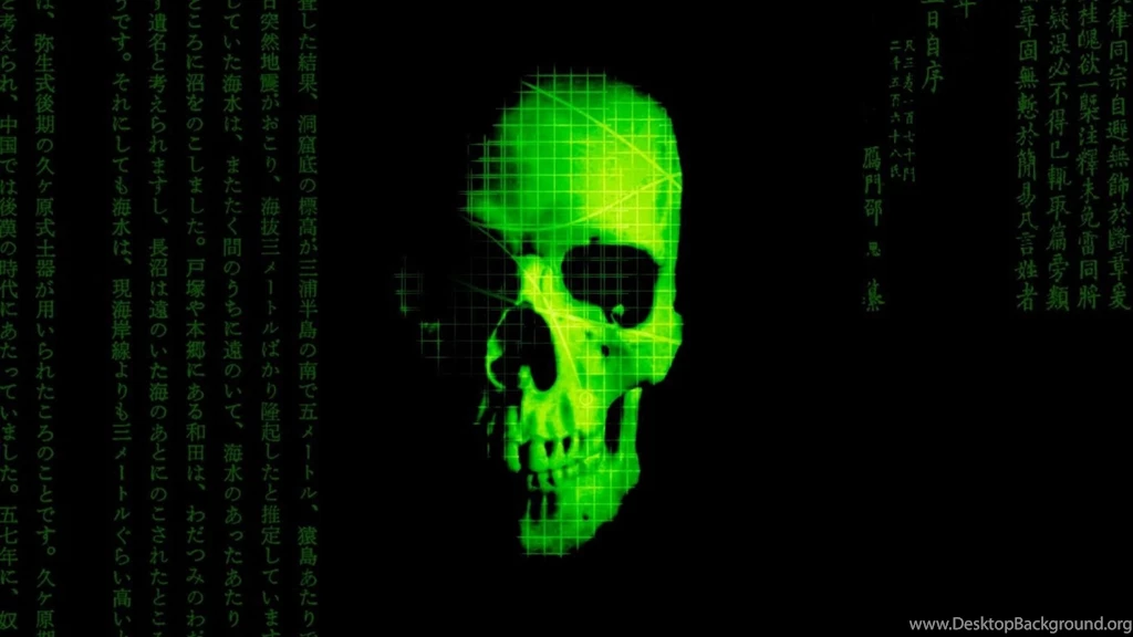 Digital Matrix Skulls HD Wallpapers Wallpapers   (