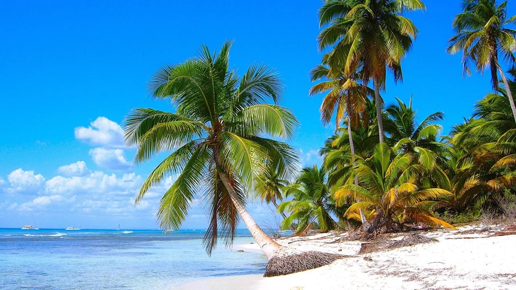 1600x1200px Palm Trees On The Beach Wallpapers