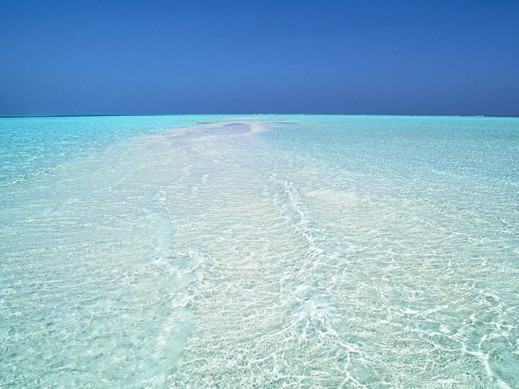 Beach Resort Caribbean Ach Resort Enities