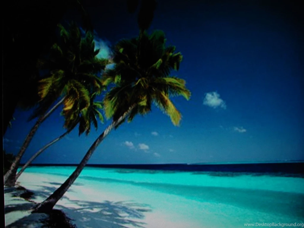 Caribbean Beach By Dilworthe On DeviantArt